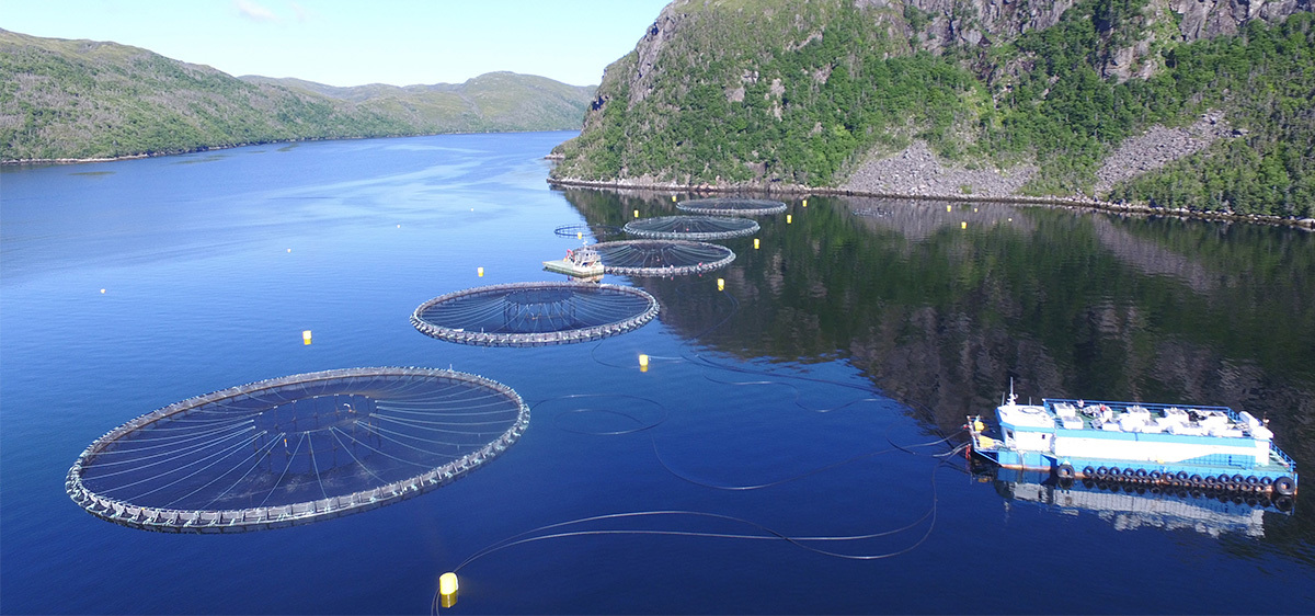 Сталий розвиток аквакультури