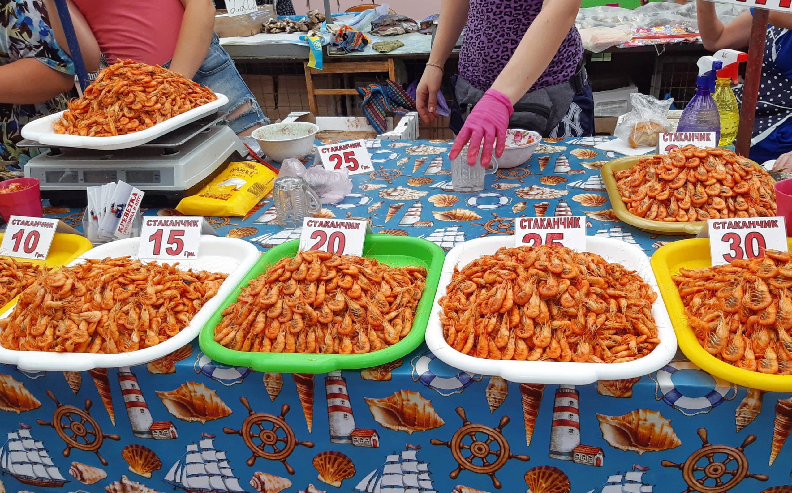 Шримс звичайний або піщана креветка