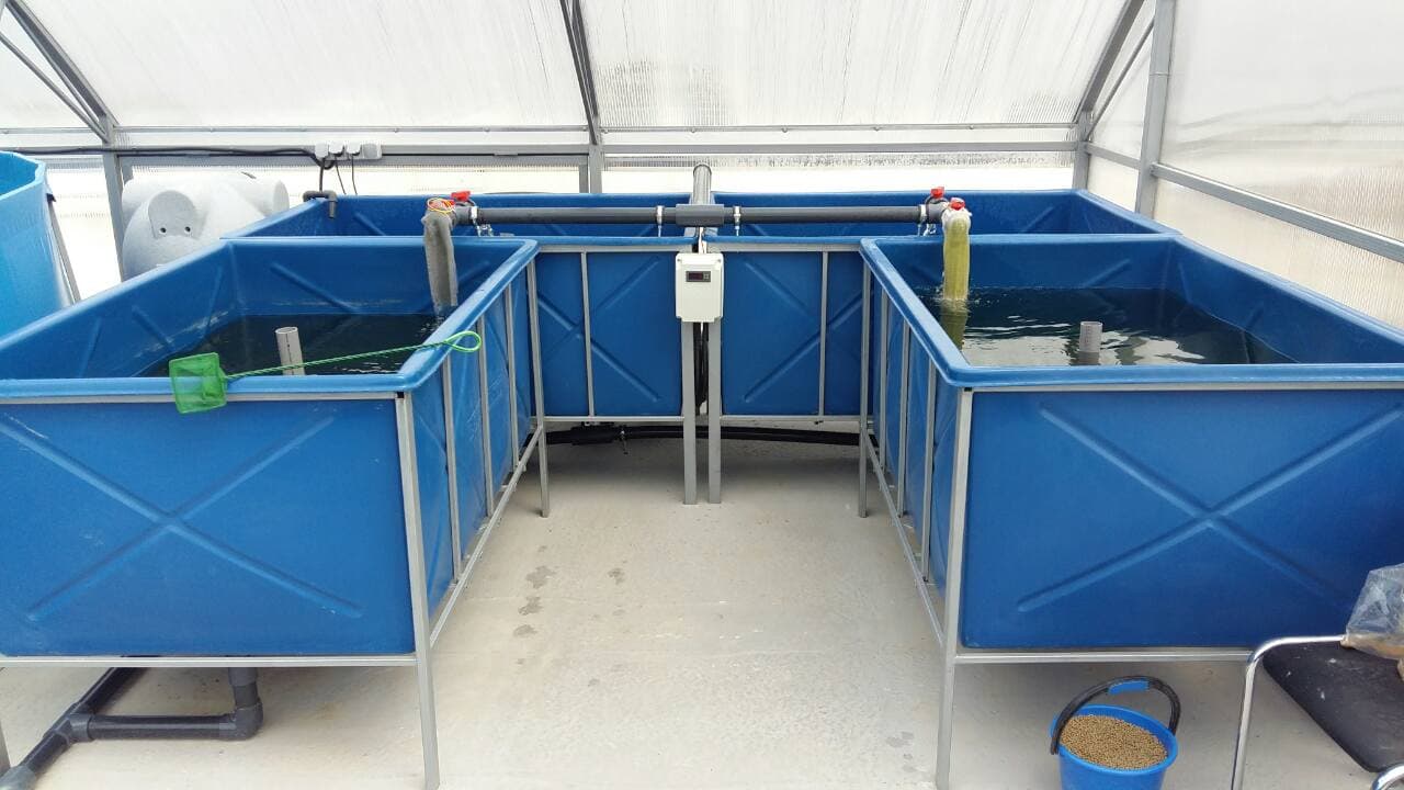 Мальковий модуль