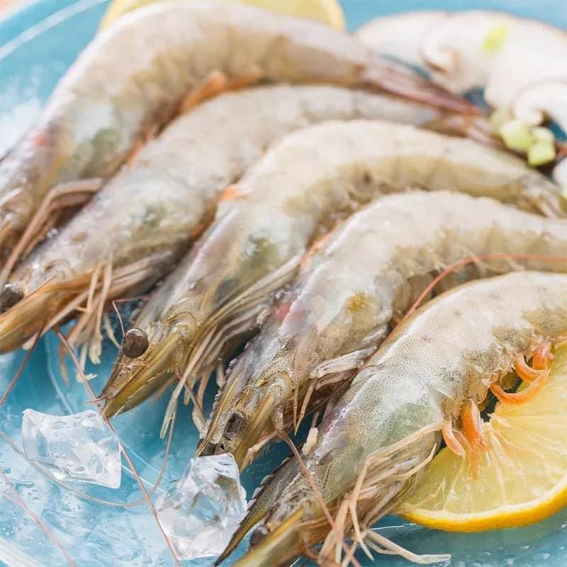 Вирощування креветок ваннамей